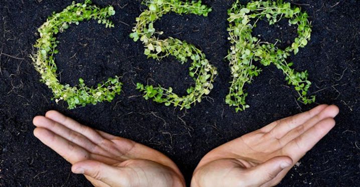 Tại sao doanh nghiệp nên xem CSR như một khoản đầu tư?