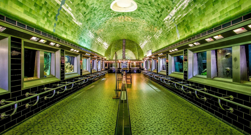 7 thuỷ cung ấn tượng nhất trên thế giới