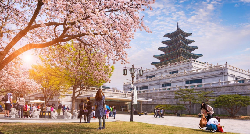 10 điểm đến quốc tế dịp Tết 2025 được khách Việt tìm kiếm nhiều nhất