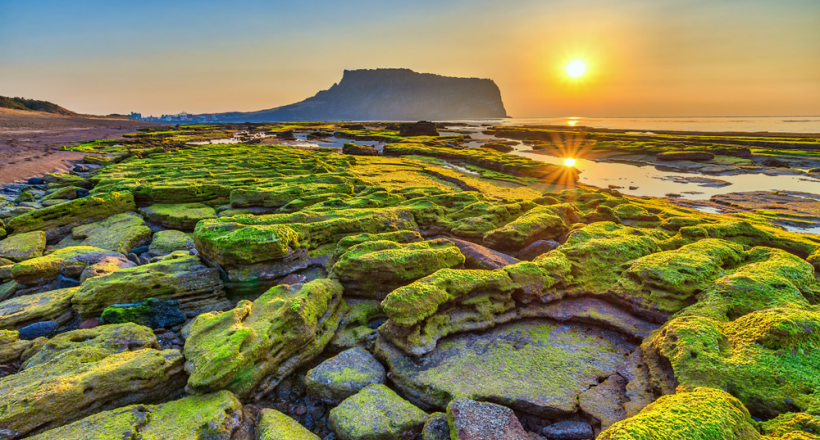 Khám phá “thiên đường tình yêu” đảo Jeju đẹp ngỡ ngàng