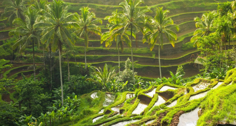 Bali: Thiên đường mùa hè