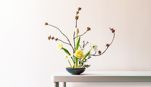 Nghệ thuật cắm hoa Ikebana: Khúc giao hòa giữa thiên nhiên và con người