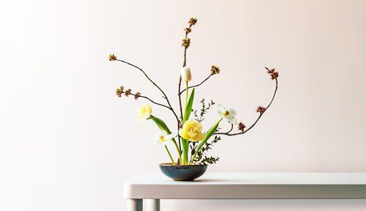 Nghệ thuật cắm hoa Ikebana: Khúc giao hòa giữa thiên nhiên và con người