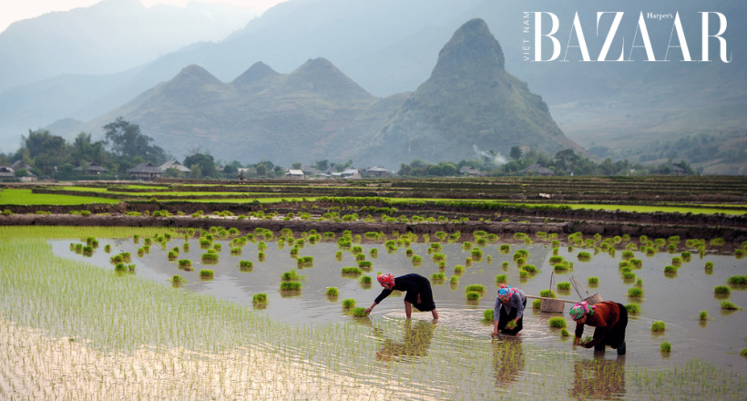 Du lịch Lai Châu mùa nào đẹp nhất trong năm?