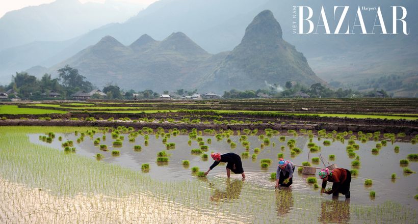 Du lịch Lai Châu mùa nào đẹp nhất trong năm?