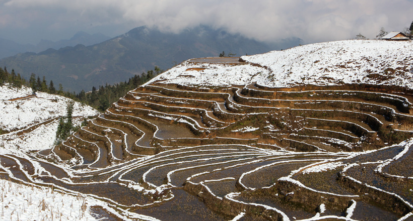 Không cần đi đâu xa, lên Tây Bắc là ngắm được tuyết rơi!