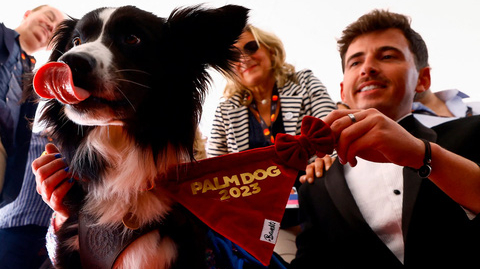 Chú chó Messi gây sốt tại Oscar 2024