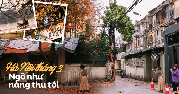 Chẳng ngờ sau một đêm ngủ say mà Hà Nội đã "khoác màu áo mới", đẹp đến nao lòng