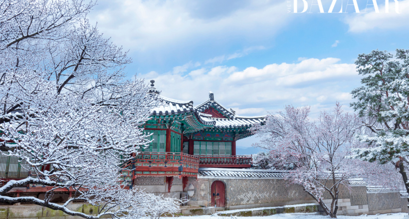 Du lịch Hàn Quốc mùa nào đẹp? Khám phá xứ sở kim chi