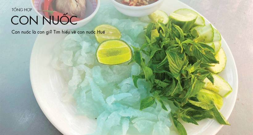 Con nuốc là con gì? Tìm hiểu về con nuốc Huế