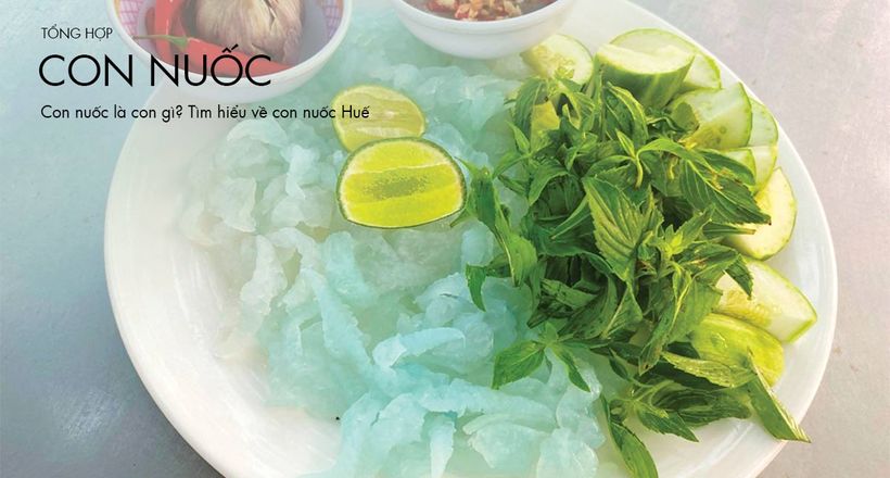 Con nuốc là con gì? Tìm hiểu về con nuốc Huế