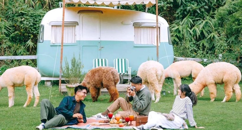 Vào rừng chill nhạc, chèo SUP, bắn cung giữa lòng Đà Lạt