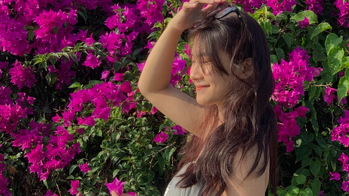 Giới trẻ Đà Nẵng “phát sốt” với mùa hoa giấy nở dọc bờ sông Hàn