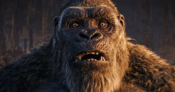'Godzilla x Kong: Đế chế mới': Bom tấn lấy kỹ xảo bù đắp nội dung