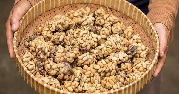 10 món ăn đắt nhất thế giới, chỉ dành cho giới thượng lưu