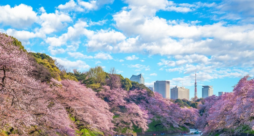 Vietjet tung vé 0 đồng, giảm 10% hạng thương gia dịp 8/3