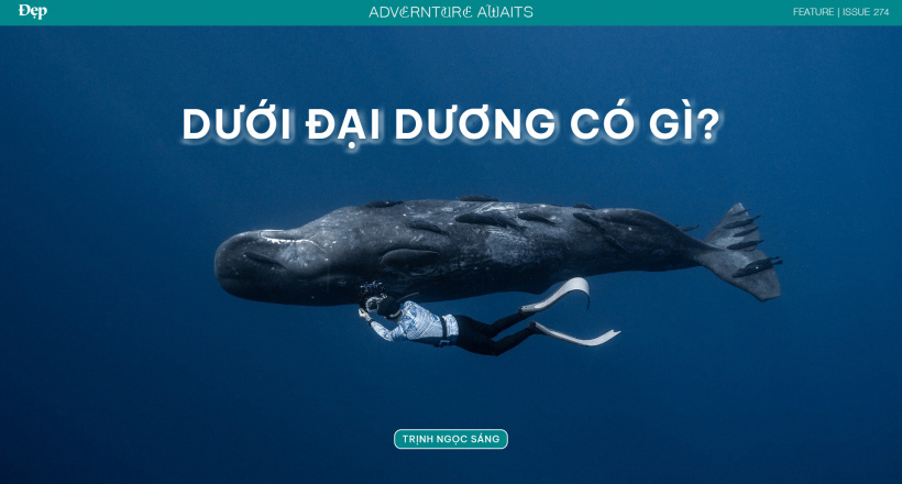 Từ Maldives đến Madagascar: Vạn dặm dưới đáy đại dương