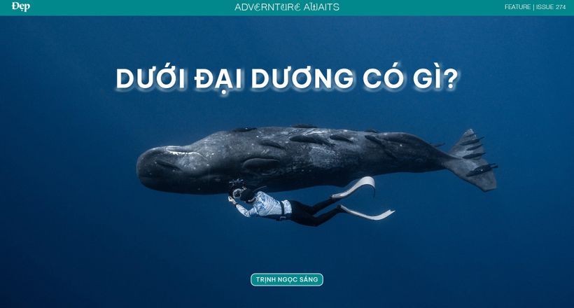 Từ Maldives đến Madagascar: Vạn dặm dưới đáy đại dương
