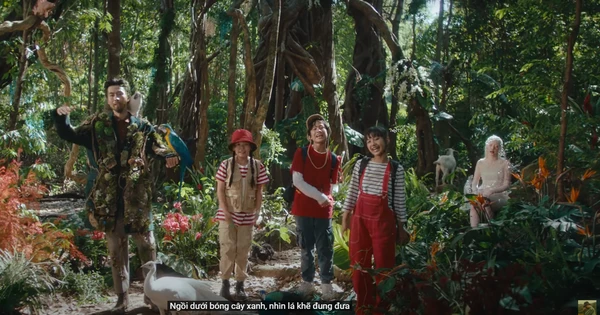 Đen Vâu ra MV 'Nhạc của rừng', người trẻ đoán đề thi môn ngữ văn