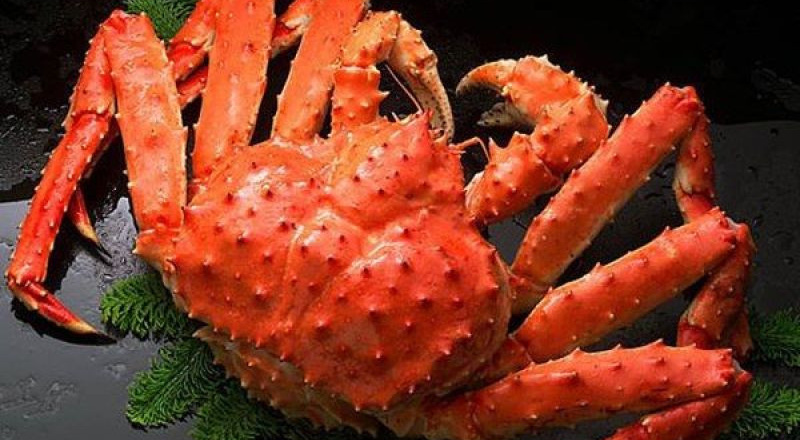 Mê cua hoàng đế, bạn có biết người đưa chúng về Việt Nam?