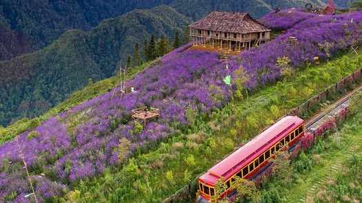 Các địa điểm du lịch tránh nóng vào mùa hè tại Việt Nam