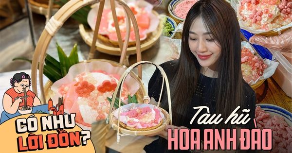 Món tàu hũ hoa anh đào đẹp lung linh đang gây sốt, liệu hương vị có đáng để giới trẻ xếp hàng dài chờ mua?