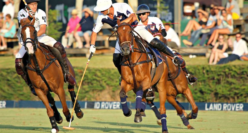 Polo thú chơi quý tộc của giới thượng lưu