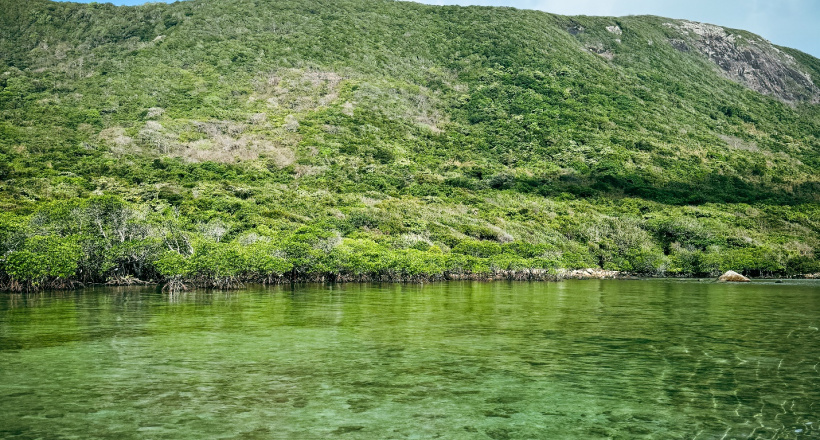 Dừng chân ở Côn Đảo, du khách ‘mê’ cách làm du lịch xanh - sạch - bền vững