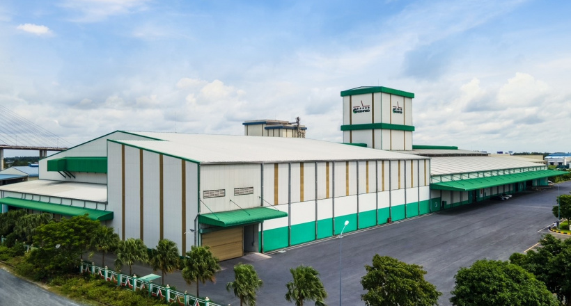 GREENFEED VIỆT NAM tăng trưởng lợi nhuận bền vững