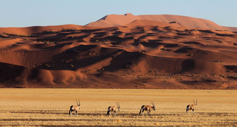 Mạo hiểm kiểu thượng lưu: Kỳ 2 - Đến sa mạc Namibia cùng andBeyond