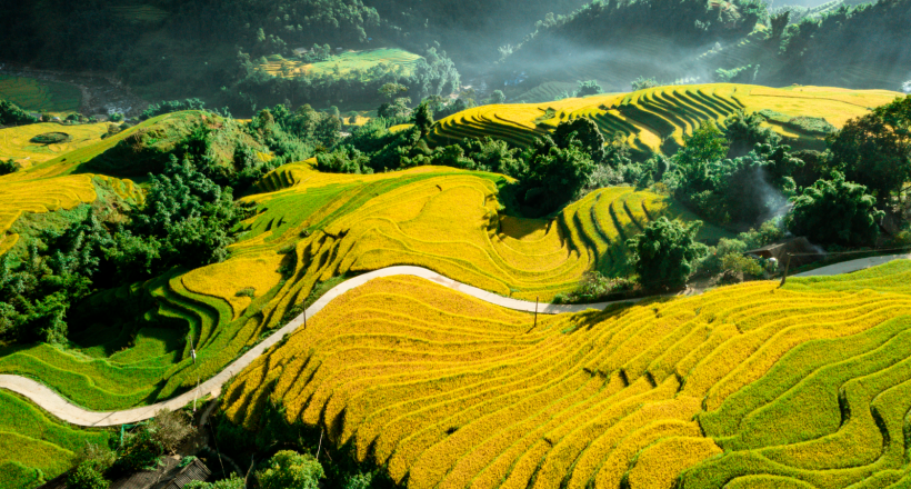 Những điểm đến du lịch xanh tuyệt đẹp ở Việt Nam