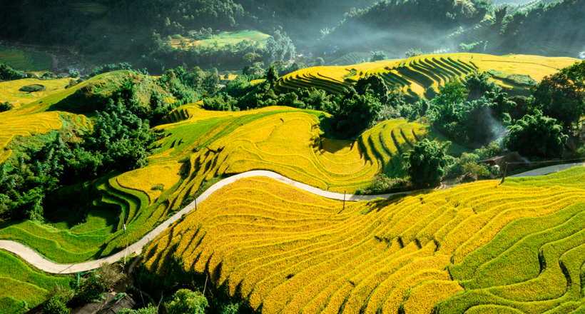 Những điểm đến du lịch xanh tuyệt đẹp ở Việt Nam