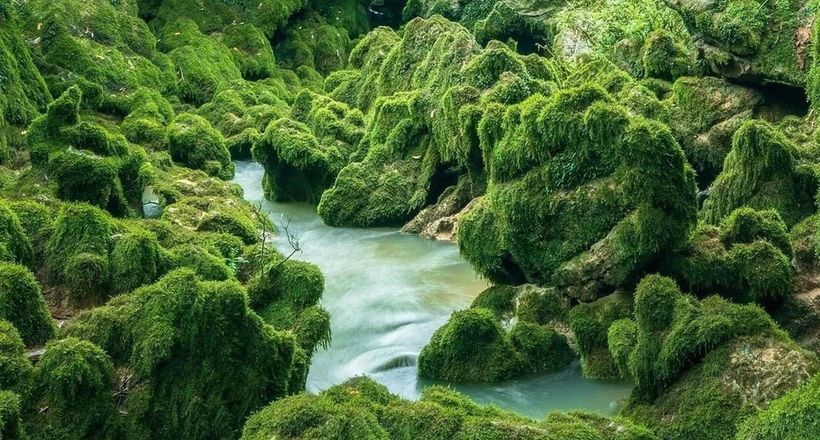Thế giới kỳ vĩ bên trong hang động Hung Thoòng, Quảng Bình