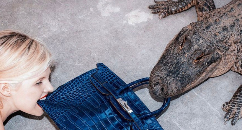 Từ 'thiên đường hàng nhái' đến nơi săn túi Hermès Birkin, Louis Vuitton