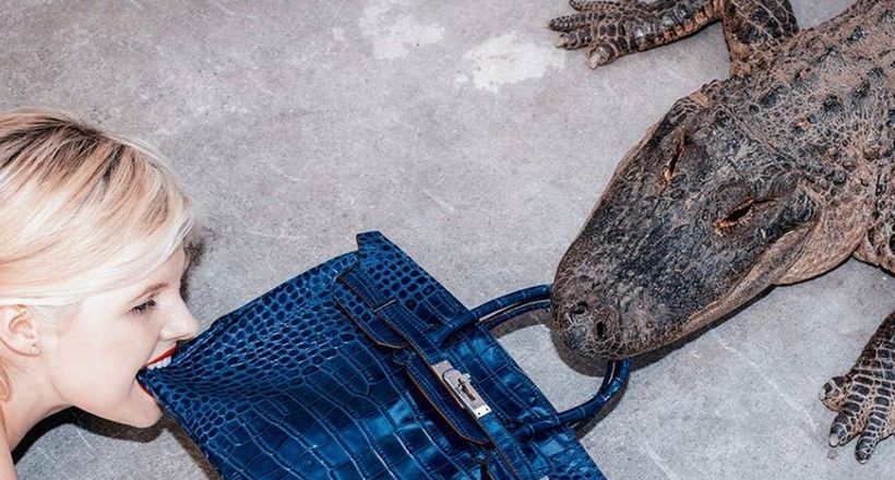 Từ 'thiên đường hàng nhái' đến nơi săn túi Hermès Birkin, Louis Vuitton