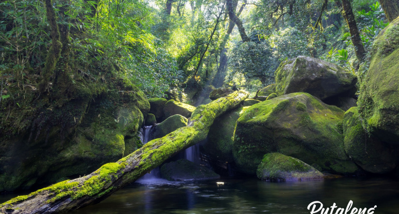 Lạc bước trên miền cổ tích Pu Ta Leng