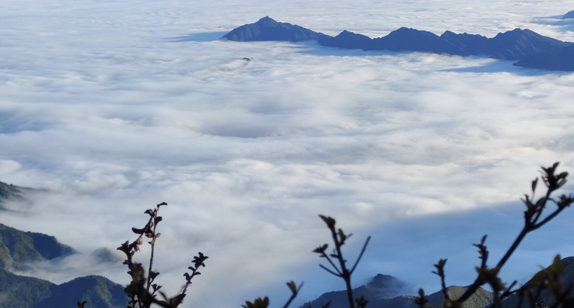 Chinh phục biển mây Ky Quan San, ngắm hoa đỗ quyên rừng