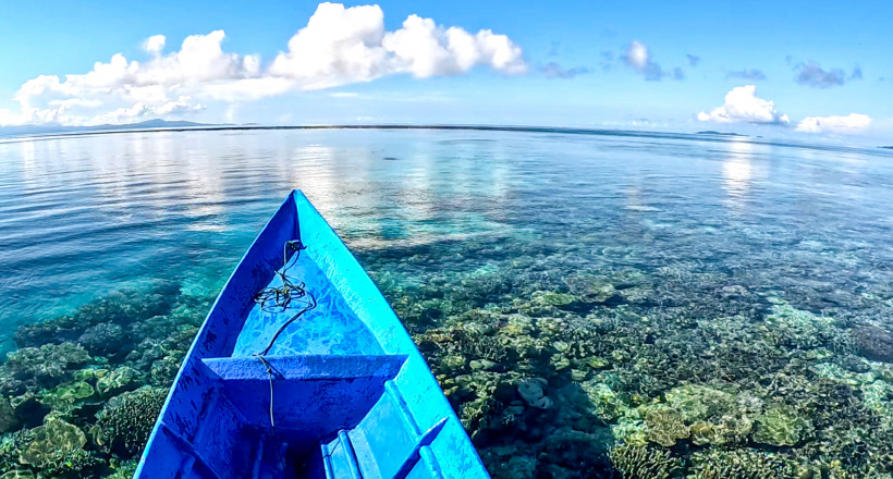 Trải nghiệm đến New Guinea săn cá khổng lồ
