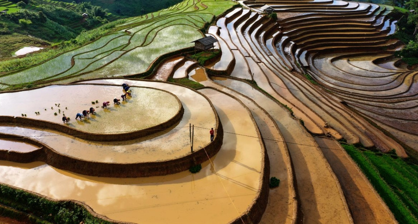 Kỳ quan "đường lên trời" vào mùa nước đổ ở Mù Cang Chải