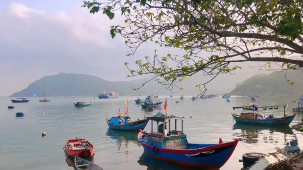 Những làng chài ở Bình Định "đẹp như tranh vẽ" cho bạn trải nghiệm cuộc sống bình yên