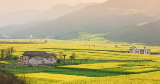 Trung Quốc: Du khách không với điểm đến nổi tiếng, “đổ xô” về những vùng quê thanh bình