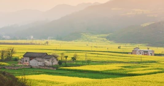 Trung Quốc: Du khách không với điểm đến nổi tiếng, “đổ xô” về những vùng quê thanh bình