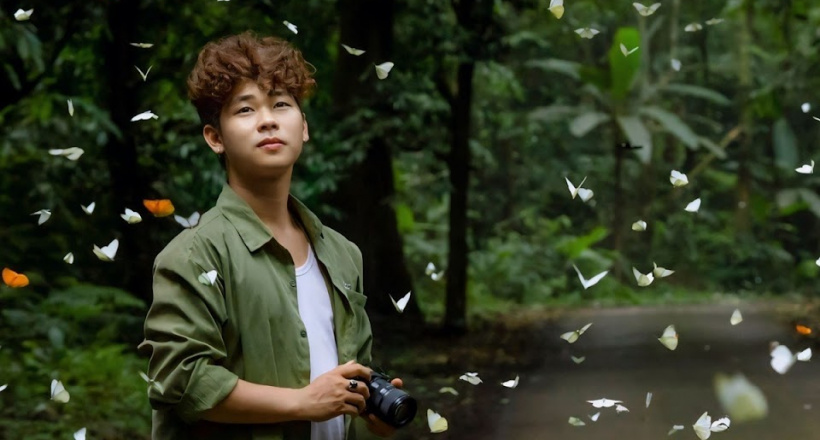 Nao lòng trước cảnh đẹp mùa săn bướm tại rừng Cúc Phương