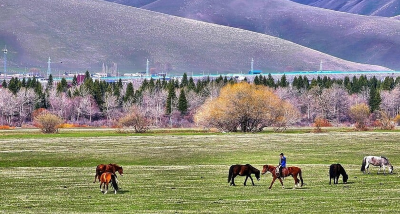 Giấc mộng Tân Cương - “Viên ngọc quý” ẩn mình của Trung Quốc