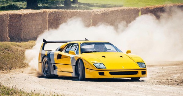 Giới siêu giàu đua nhau đầu tư thứ 'vàng' mới: Giá trị tăng 30 lần, ông Đặng Lê Nguyên Vũ có rất nhiều