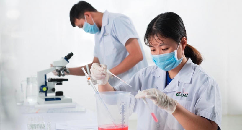 GREENFEED Việt Nam được vinh danh trong top các công ty chăn nuôi heo lớn nhất thế giới 2024