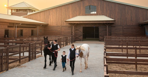 Vinhomes Royal Island ra mắt học viện cưỡi ngựa và phố đi bộ công viên Vũ Yên - Khai mở điểm đến mới tại Đông Bắc Bộ