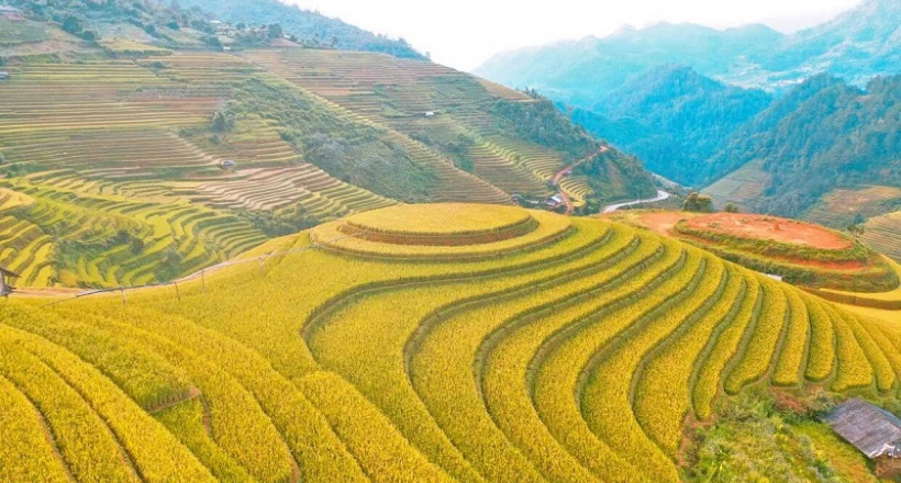 Bật mí tọa độ săn mùa vàng tuyệt đẹp tại dải đất hình chữ S