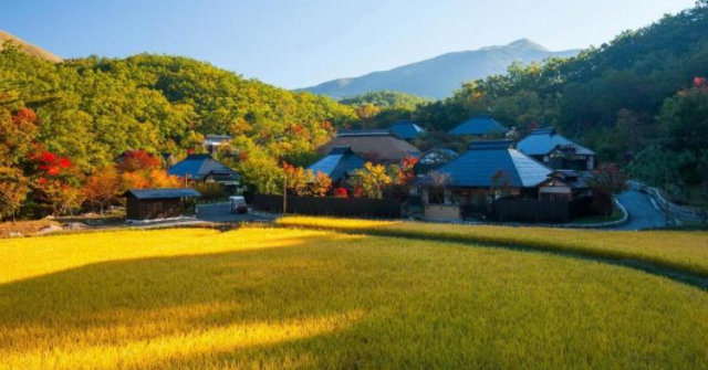 Top 5 khách sạn truyền thống ấn tượng nhất Nhật Bản