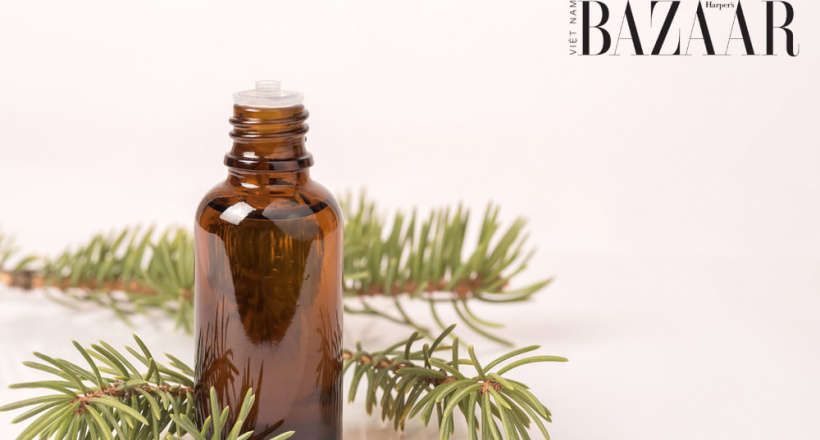 Uống tinh dầu thông đỏ có giảm cân không?